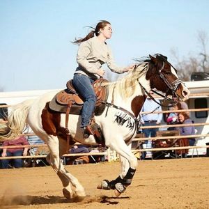 Meet your Posher, Haley